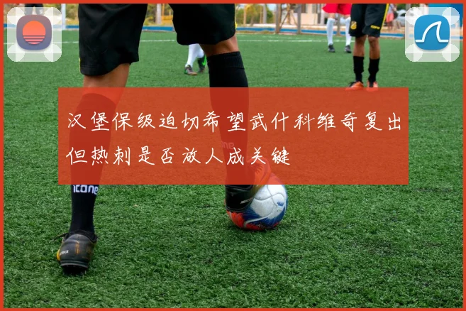 汉堡保级迫切希望武什科维奇复出但热刺是否放人成关键